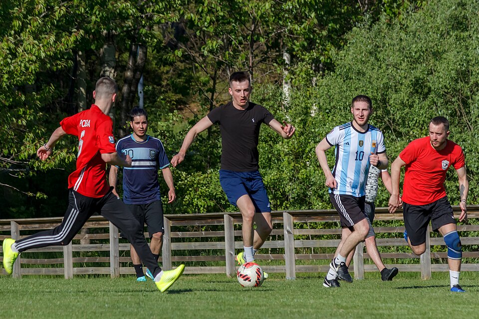 Suplentes celebrando durante un partido de baloncesto